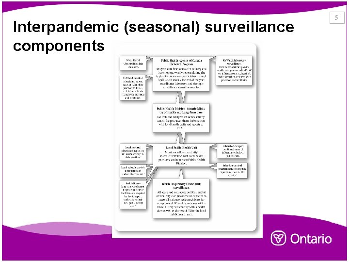 Interpandemic (seasonal) surveillance components 5 