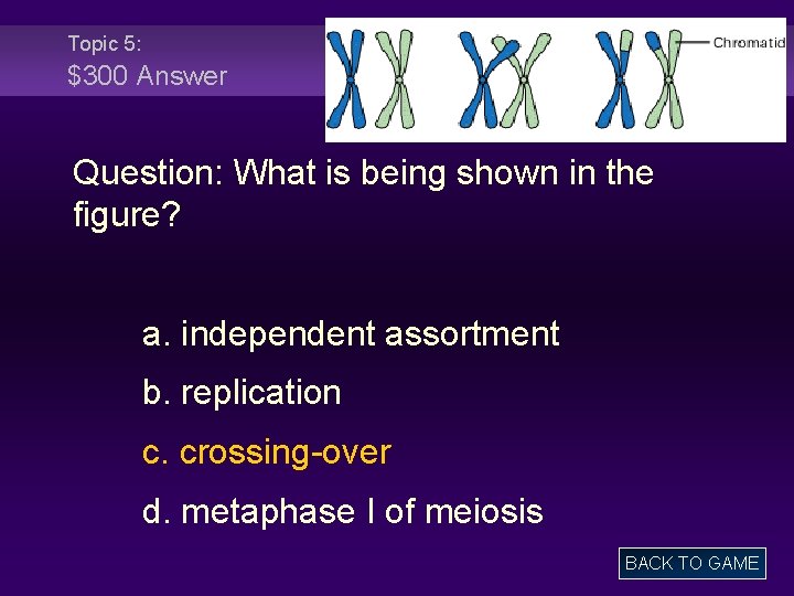 Topic 5: $300 Answer Question: What is being shown in the figure? a. independent