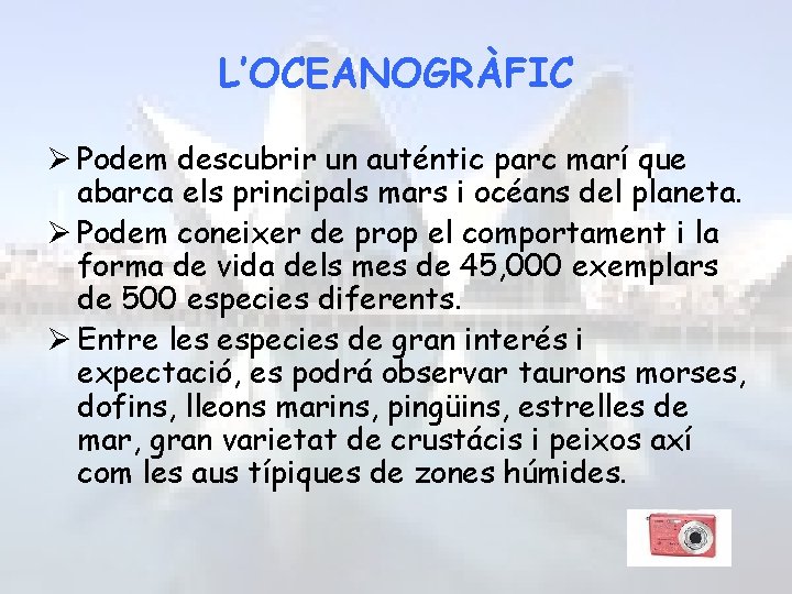 L’OCEANOGRÀFIC Ø Podem descubrir un auténtic parc marí que abarca els principals mars i