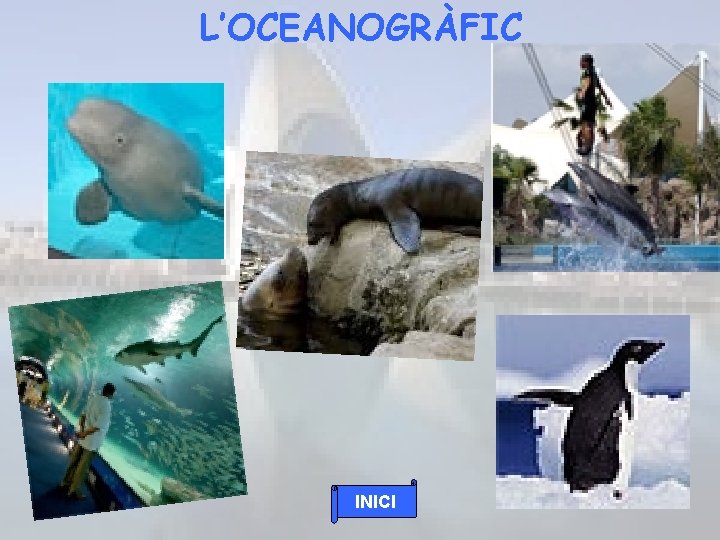 L’OCEANOGRÀFIC INICI 