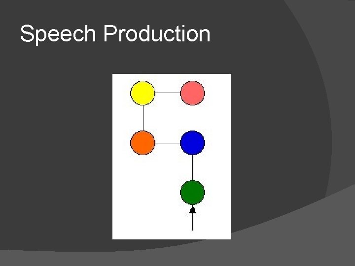 Speech Production 