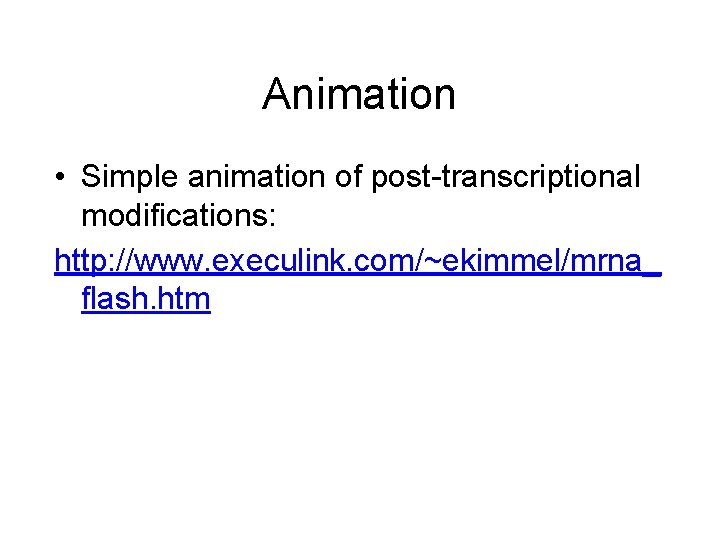 Animation • Simple animation of post-transcriptional modifications: http: //www. execulink. com/~ekimmel/mrna_ flash. htm 