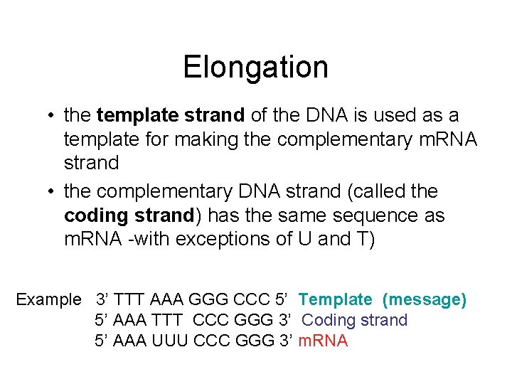 Elongation • the template strand of the DNA is used as a template for