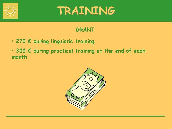 TRAINING GRANT • 270 € during linguistic training • 300 € during practical training