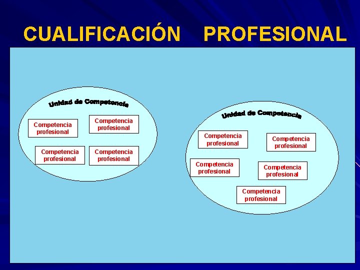 CUALIFICACIÓN Competencia profesional PROFESIONAL Competencia profesional Competencia profesional 