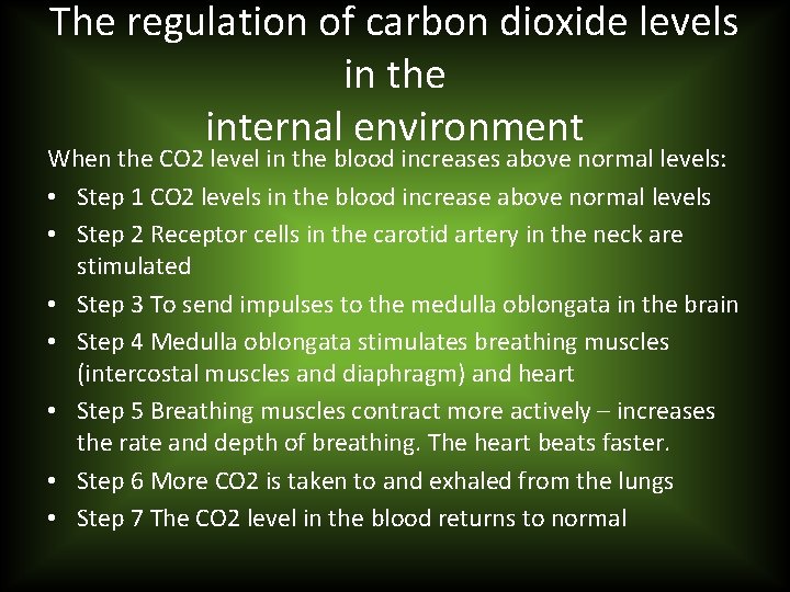 The regulation of carbon dioxide levels in the internal environment When the CO 2
