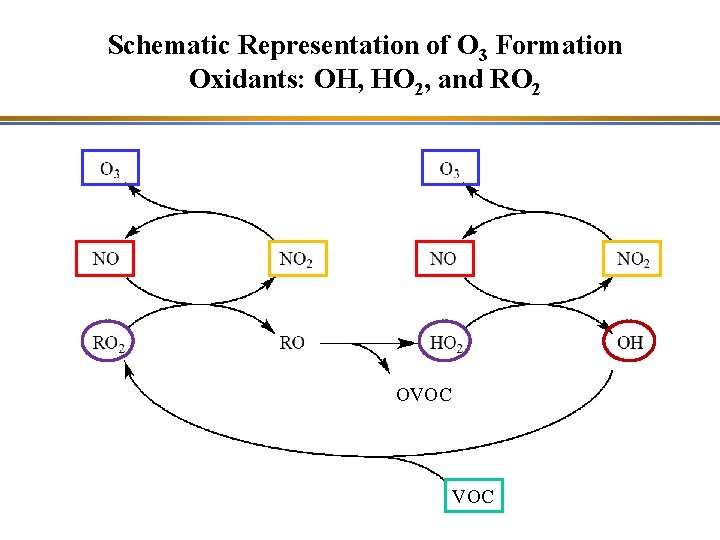 Schematic Representation of O 3 Formation Oxidants: OH, HO 2, and RO 2 OVOC