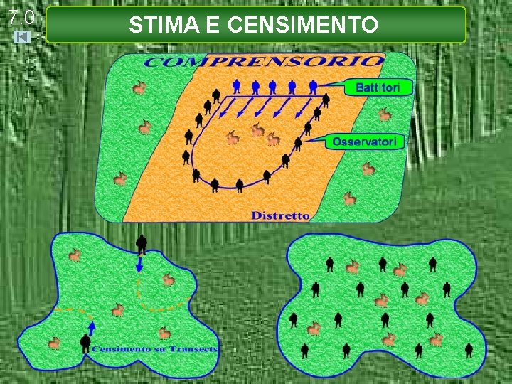 7. 0 STIMA E CENSIMENTO 