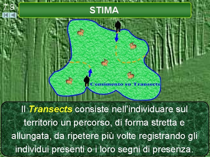 7. 9 STIMA Il Transects consiste nell’individuare sul territorio un percorso, di forma stretta