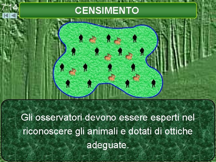 7. 14 CENSIMENTO Gli osservatori devono essere esperti nel riconoscere gli animali e dotati