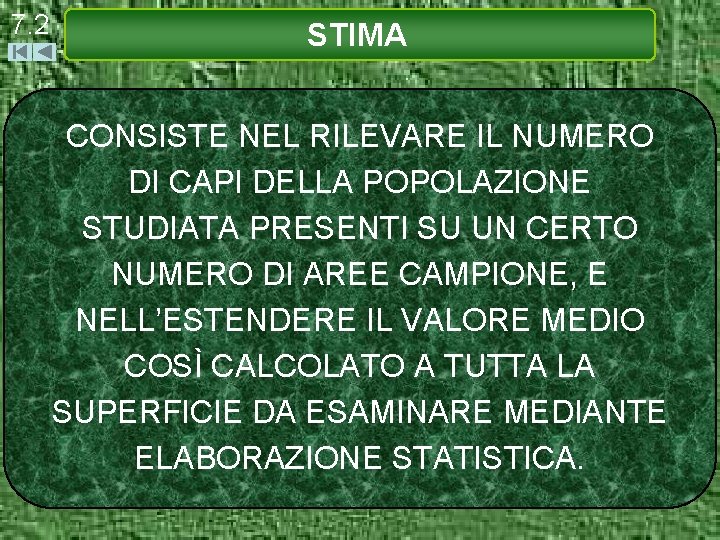 7. 2 STIMA CONSISTE NEL RILEVARE IL NUMERO DI CAPI DELLA POPOLAZIONE STUDIATA PRESENTI