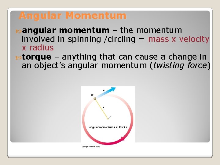 Angular Momentum angular momentum – the momentum involved in spinning /circling = mass x