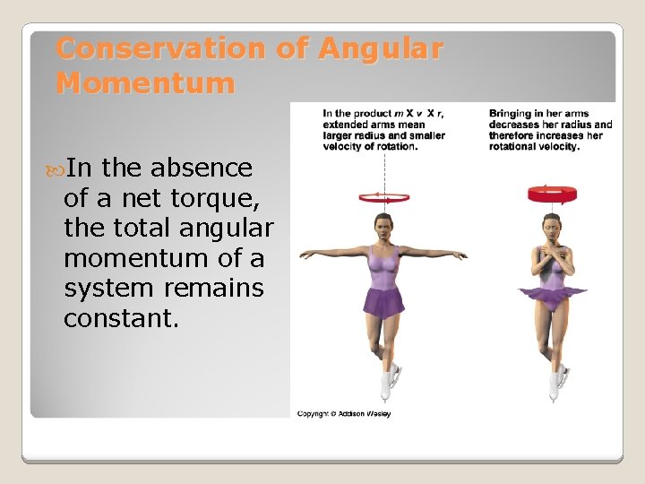 Conservation of Angular Momentum In the absence of a net torque, the total angular