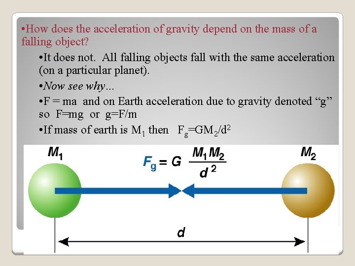  • How does the acceleration of gravity depend on the mass of a