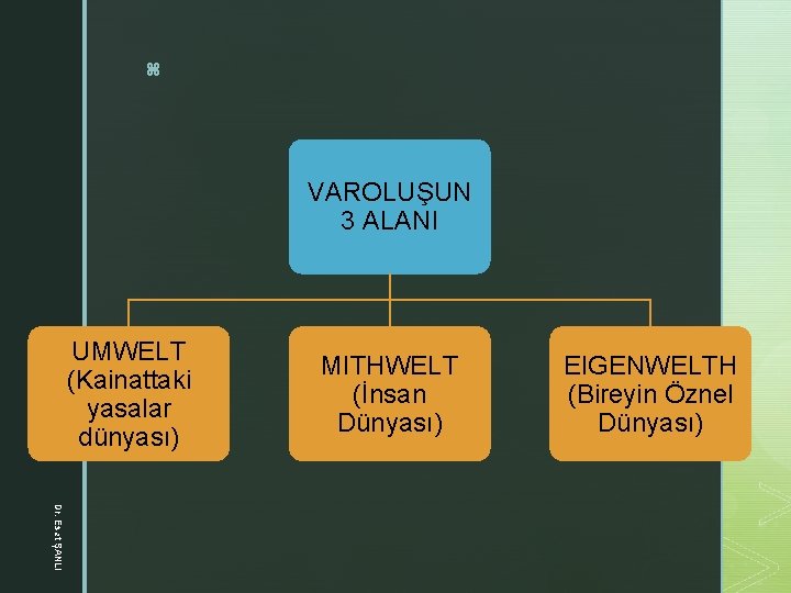 z VAROLUŞUN 3 ALANI UMWELT (Kainattaki yasalar dünyası) MITHWELT (İnsan Dünyası) EIGENWELTH (Bireyin Öznel