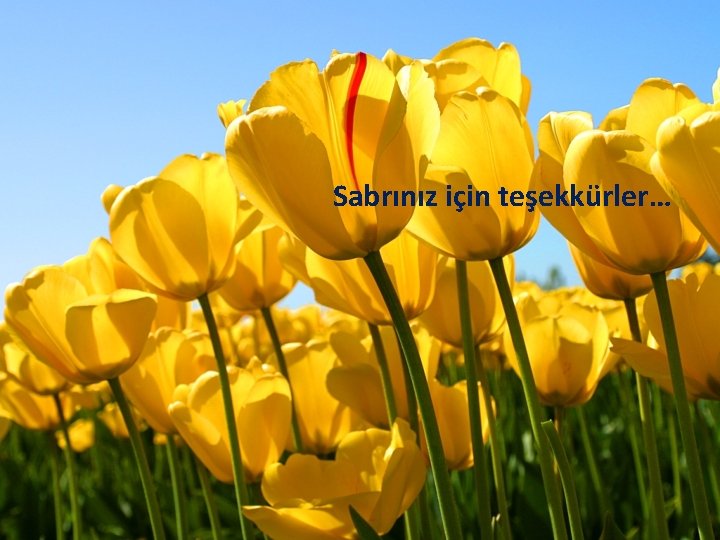 Sabrınız için teşekkürler… 