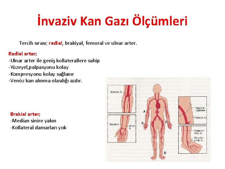 İnvaziv Kan Gazı Ölçümleri Tercih sırası; radial, brakiyal, femoral ve ulnar arter. Radial arter;