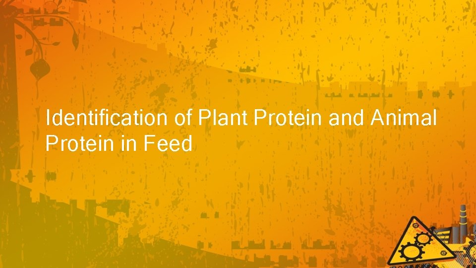 Identification of Plant Protein and Animal Protein in Feed 