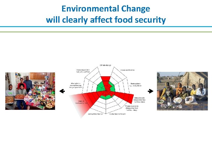 Environmental Change will clearly affect food security 