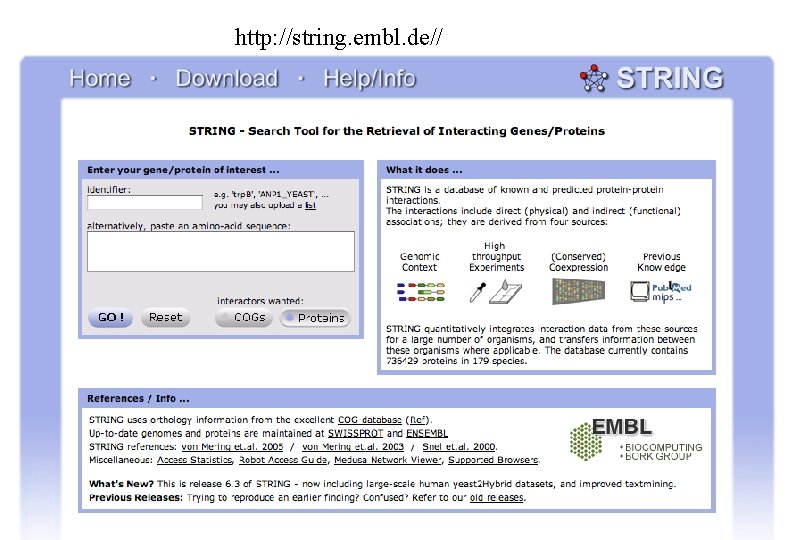 http: //string. embl. de// 