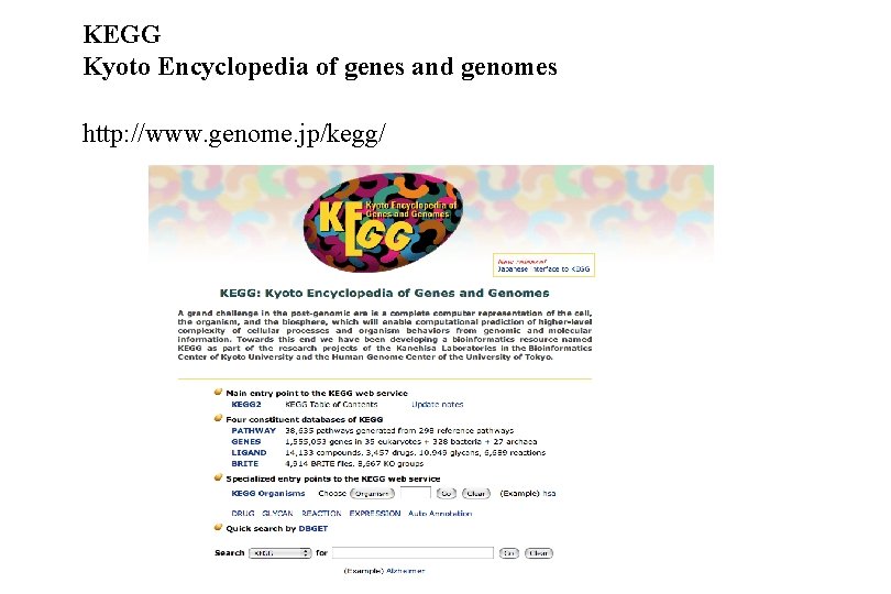 KEGG Kyoto Encyclopedia of genes and genomes http: //www. genome. jp/kegg/ 