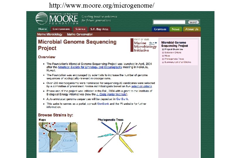 http: //www. moore. org/microgenome/ 