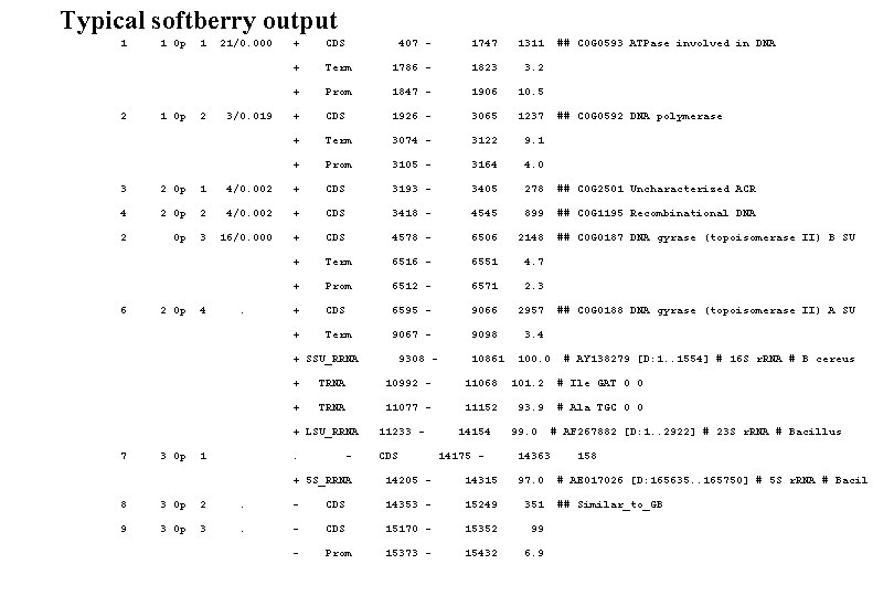 Typical softberry output 1 2 1 Op 1 2 21/0. 000 3/0. 019 +