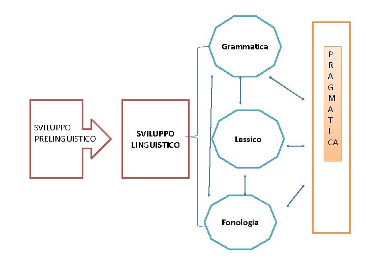 Grammatica SVILUPPO PRELINGUISTICO SVILUPPO LINGUISTICO Lessico Fonologia P R A G M A T