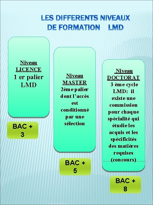 Niveau LICENCE 1 er palier LMD BAC + 3 Niveau MASTER 2ème palier dont