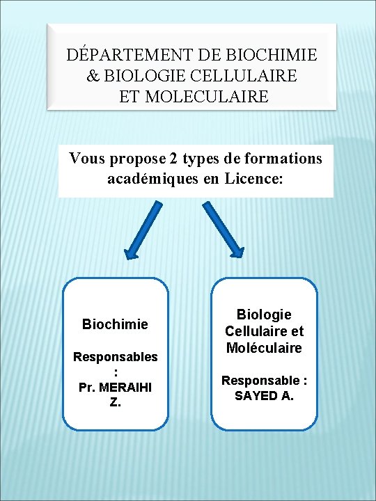 DÉPARTEMENT DE BIOCHIMIE & BIOLOGIE CELLULAIRE ET MOLECULAIRE Vous propose 2 types de formations