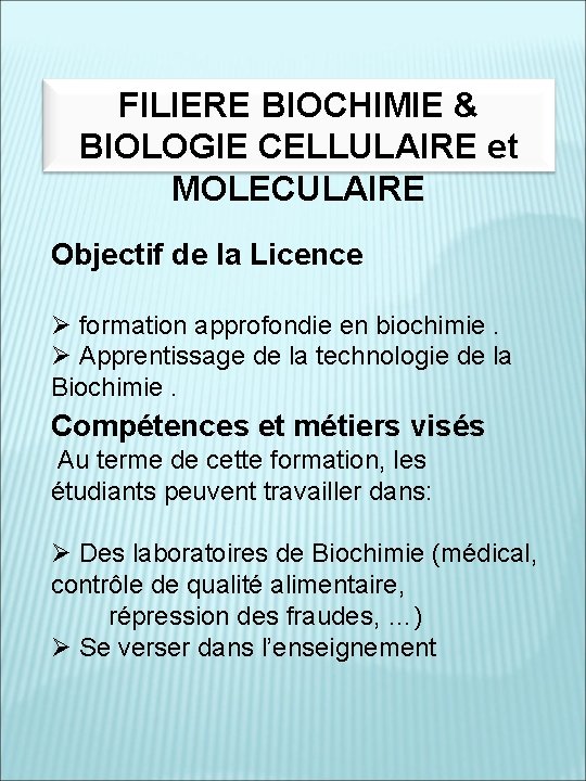 FILIERE BIOCHIMIE & BIOLOGIE CELLULAIRE et MOLECULAIRE Objectif de la Licence Ø formation approfondie
