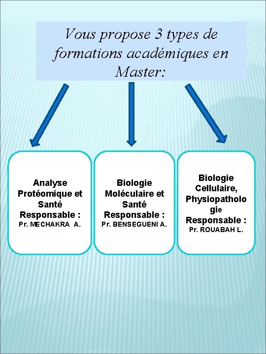 Vous propose 3 types de formations académiques en Master: Analyse Protéomique et Santé Responsable