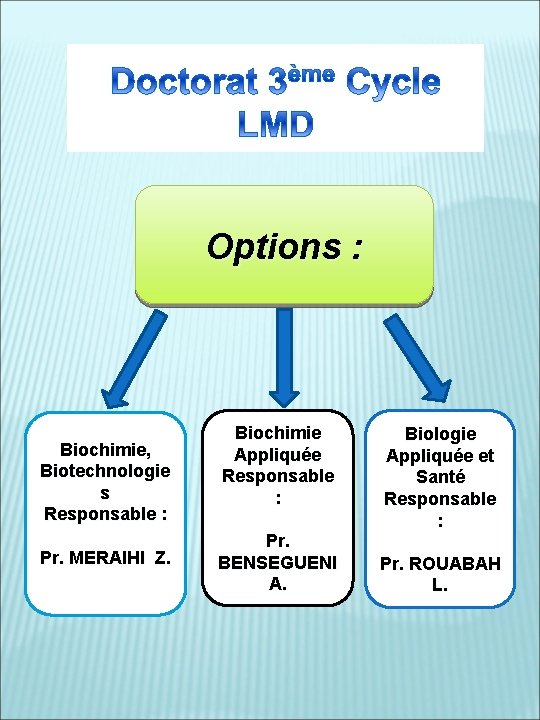 Options : Biochimie, Biotechnologie s Responsable : Pr. MERAIHI Z. Biochimie Appliquée Responsable :