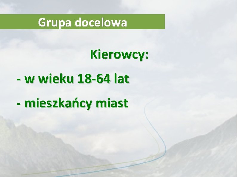 Grupa docelowa Kierowcy: - w wieku 18 -64 lat - mieszkańcy miast Grupa docelowa Kierowcy: - w wieku 18 -64 lat - mieszkańcy miast