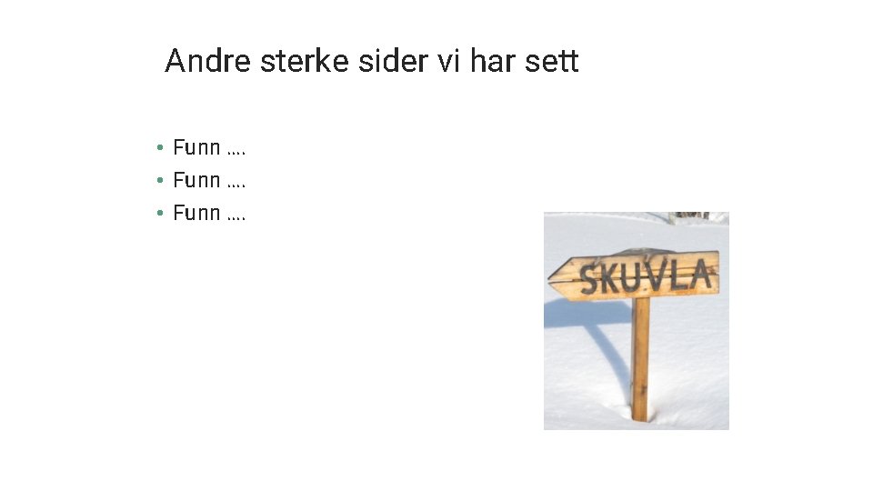 Andre sterke sider vi har sett • Funn …. 