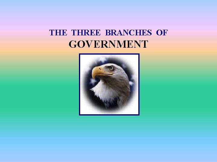 THE THREE BRANCHES OF GOVERNMENT 