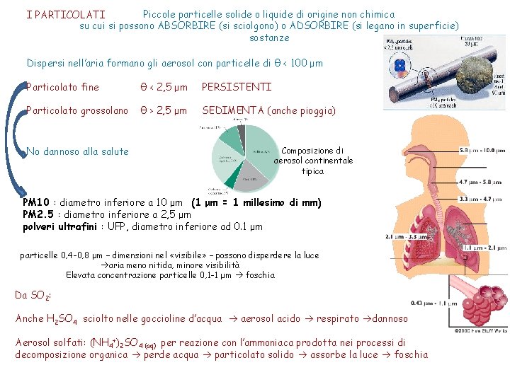 Piccole particelle solide o liquide di origine non chimica I PARTICOLATI su cui si