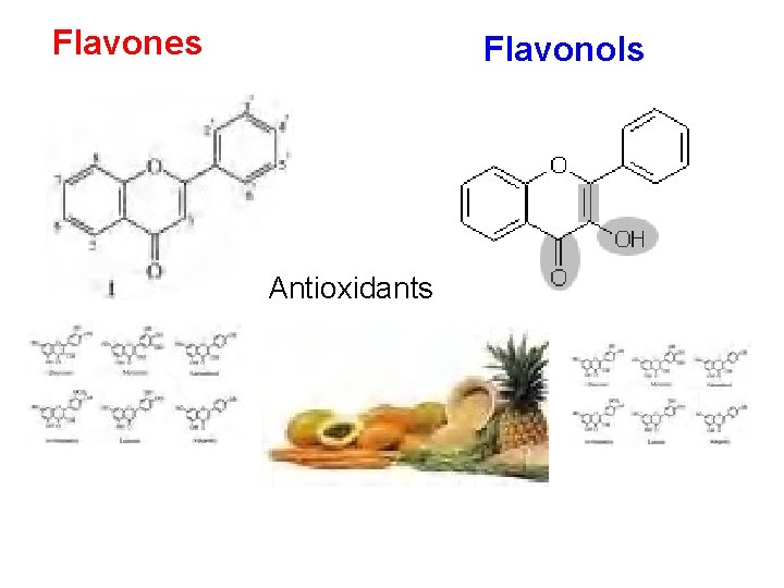 Flavones Flavonols Antioxidants 