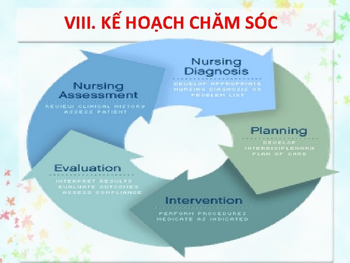 VIII. KẾ HOẠCH CHĂM SÓC 