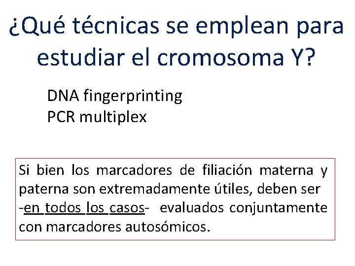 ¿Qué técnicas se emplean para estudiar el cromosoma Y? DNA fingerprinting PCR multiplex Si