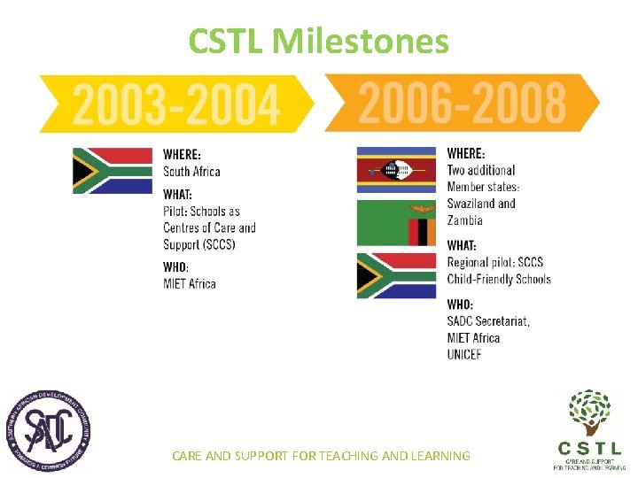 CSTL Milestones CARE AND SUPPORT FOR TEACHING AND LEARNING 
