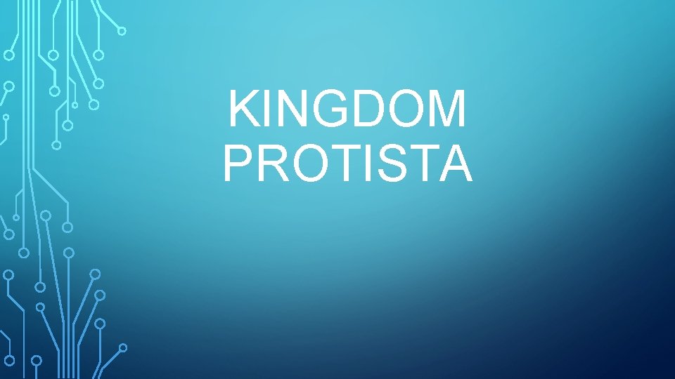 KINGDOM PROTISTA 