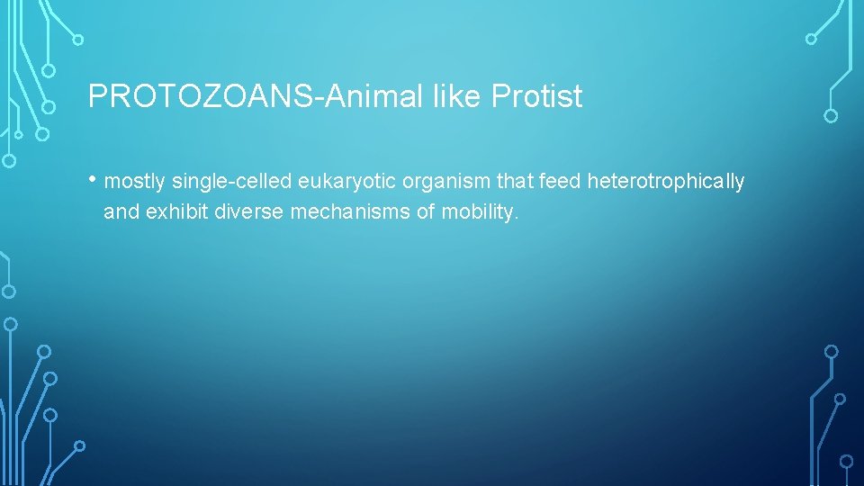 PROTOZOANS-Animal like Protist • mostly single-celled eukaryotic organism that feed heterotrophically and exhibit diverse