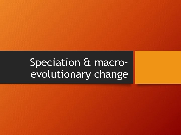 Speciation & macroevolutionary change 