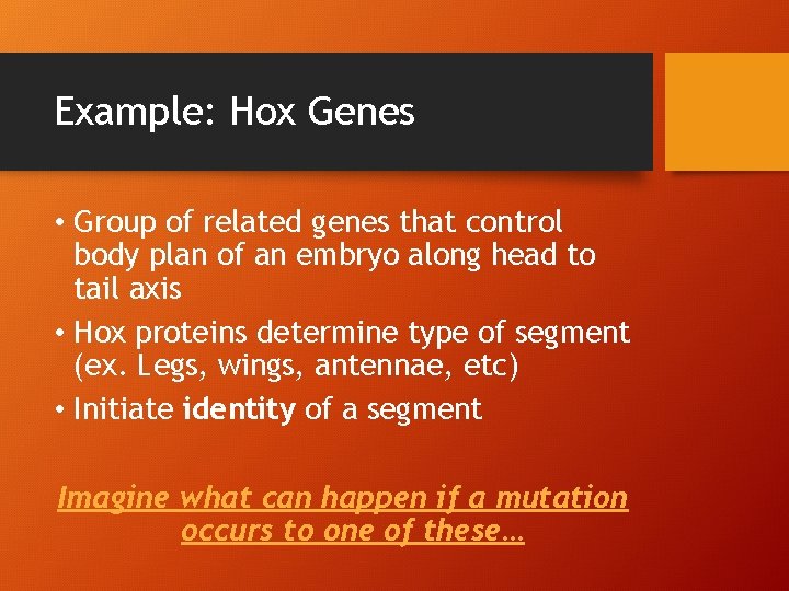 Example: Hox Genes • Group of related genes that control body plan of an