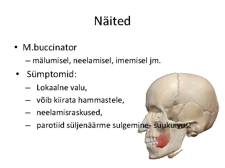 Näited • M. buccinator – mälumisel, neelamisel, imemisel jm. • Sümptomid: – – Lokaalne