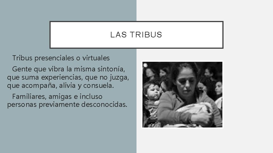 LAS TRIBUS • Tribus presenciales o virtuales • Gente que vibra la misma sintonía,