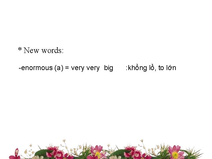 * New words: -enormous (a) = very big : khổng lồ, to lớn 