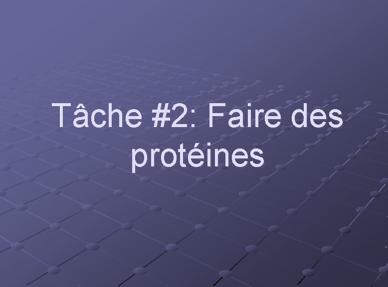 Tâche #2: Faire des protéines 