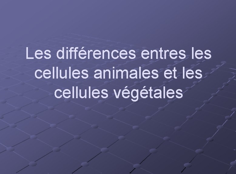 Les différences entres les cellules animales et les cellules végétales 